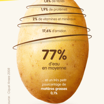 La pomme de terre : une pépite nutritionnelle !