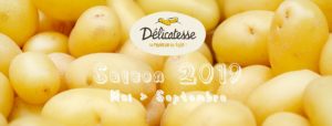 pomme-de-terre-delicatesse-saison-2019