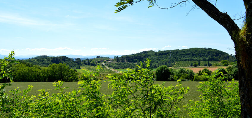 La Drôme des collines, saveurs de la campagne