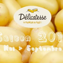 pomme-de-terre-delicatesse-saison-2019